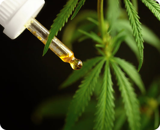 CBD Facts For First Responders: Will Cannabidiol Make Me Fail a Drug Test?